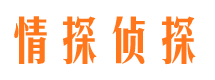 源汇外遇调查取证